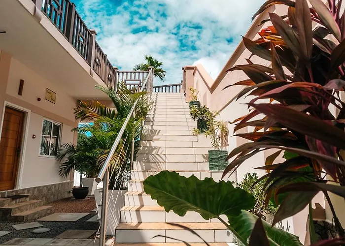 O Kanel Solace Anse Royale